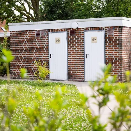 Riedgrashaus Riedgras 4