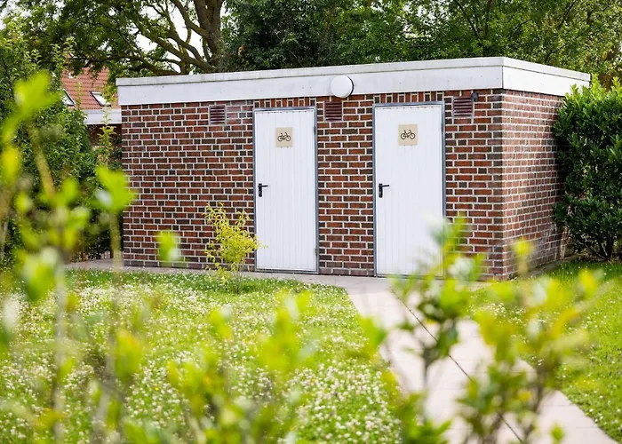 Riedgrashaus Riedgras 4